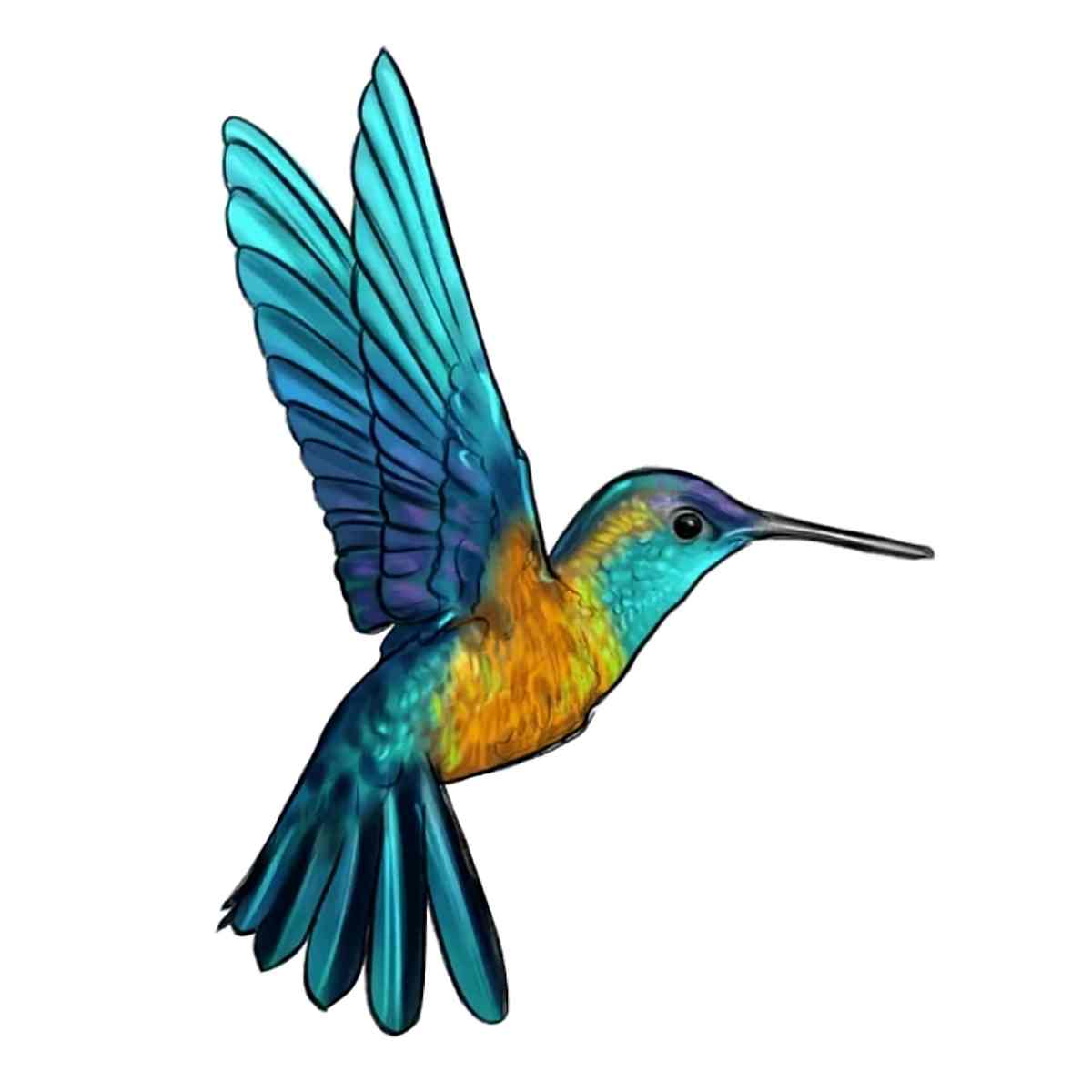 kolibrier blå - puslespill