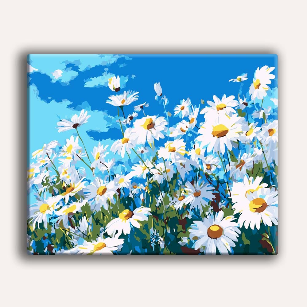 Painting By Numbers Kits 15.7" x 19.6" (40 x 50cm) Summer Daisies - Paint By Numbers Kit